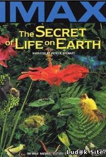 The Secret of Life on Earth (1993)