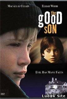 The Good Son (1993)