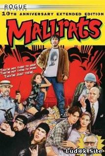 Mallrats (1995)