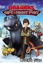Dragons: Gift of the Night Fury (2011)