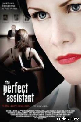 The Perfect Assistant (2008)