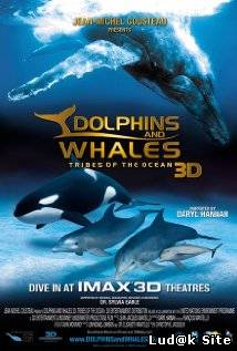Dolphins and Whales 3D: Tribes of the Ocean (2008)