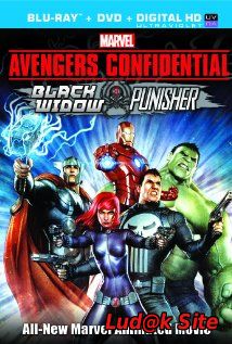 Avengers Confidential: Black Widow & Punisher (2014)