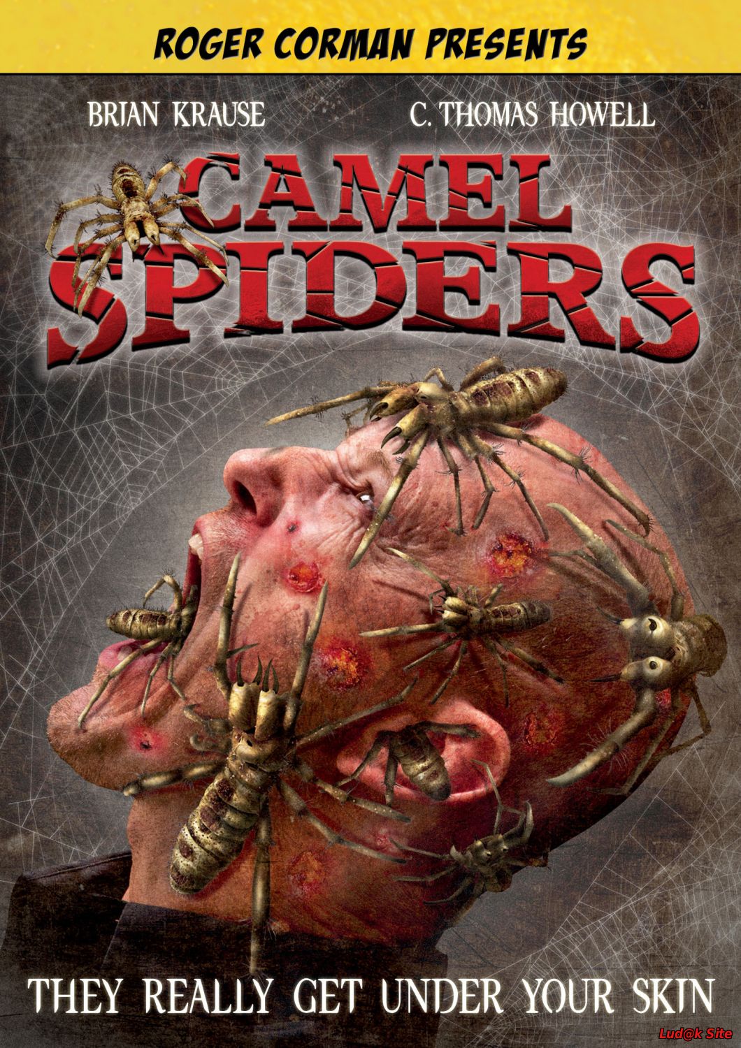 Camel Spiders (2011)