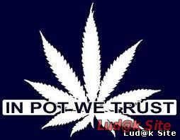 In Pot We Trust (2007)