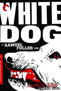 White Dog (1982)