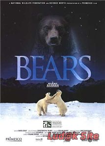 Imax Bears (2001)