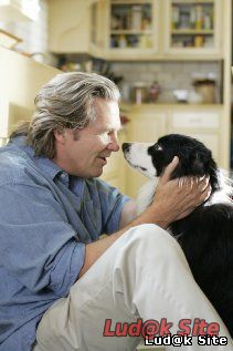 A Dog Year (2009)