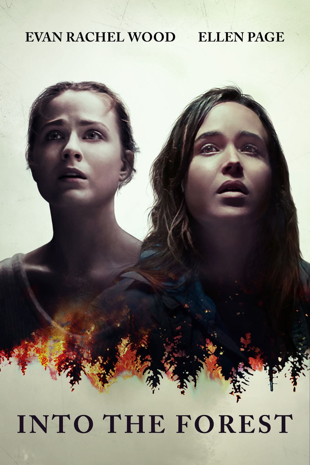 Into the Forest (2015)