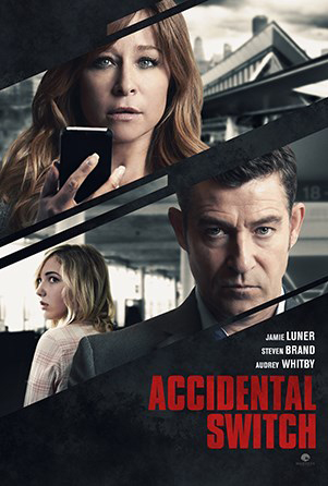 Accidental Switch Aka A Mother's Revenge (2016)