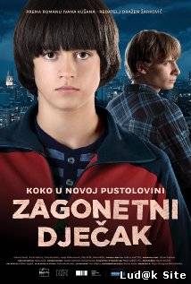 Zagonetni djecak (2013)
