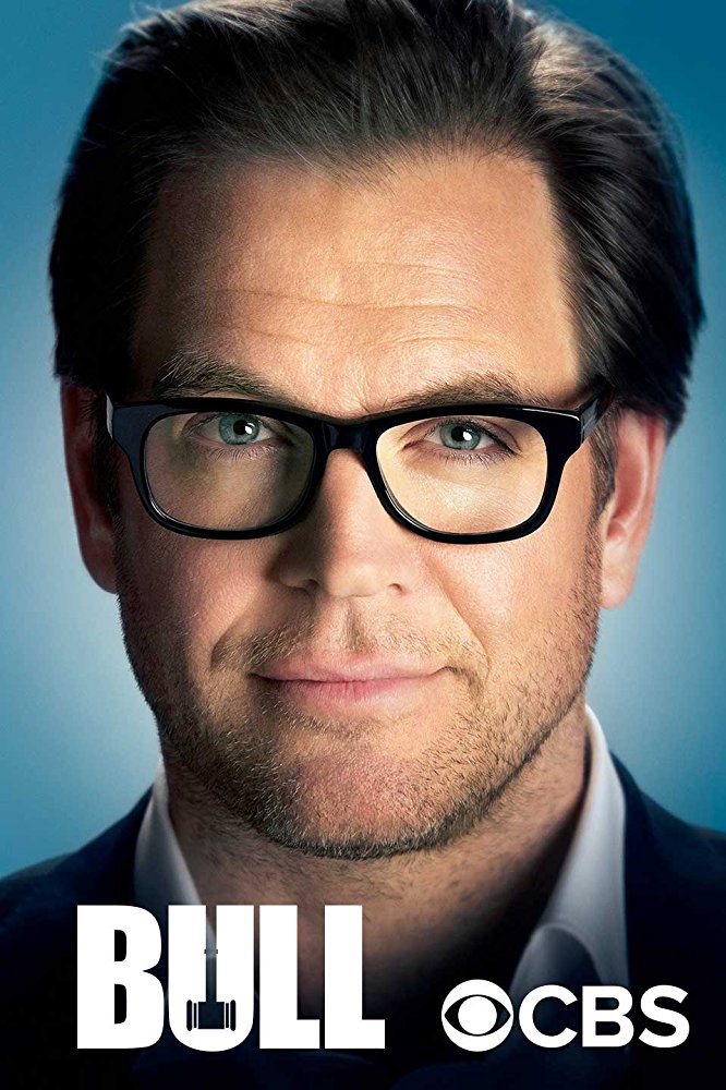Bull (2016)