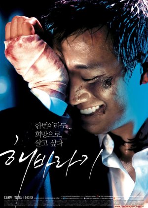 Haebaragi Aka Sunflower (2006)