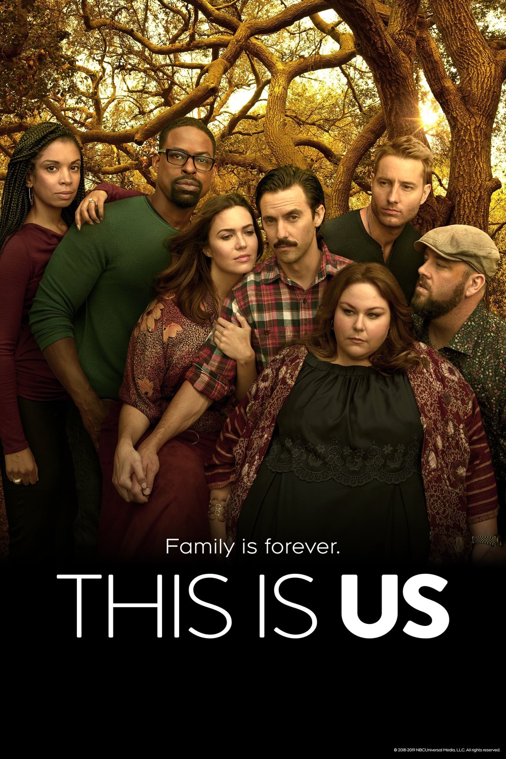 This Is Us (2016)