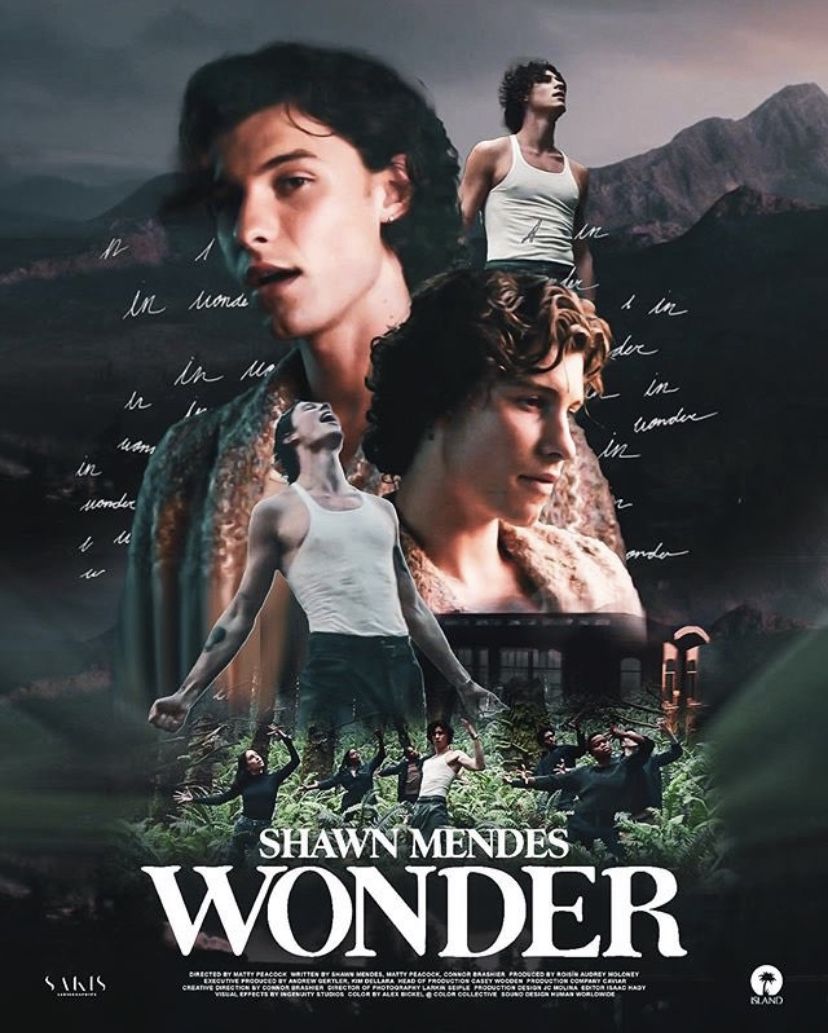 Shawn Mendes: In Wonder (2020)